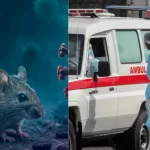 Hantavirus, individuato il paziente zero: cosa cambia adesso