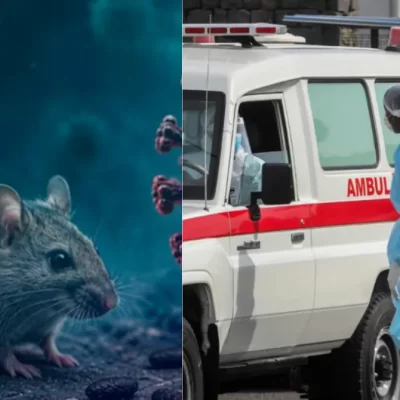 Hantavirus, individuato il paziente zero: cosa cambia adesso