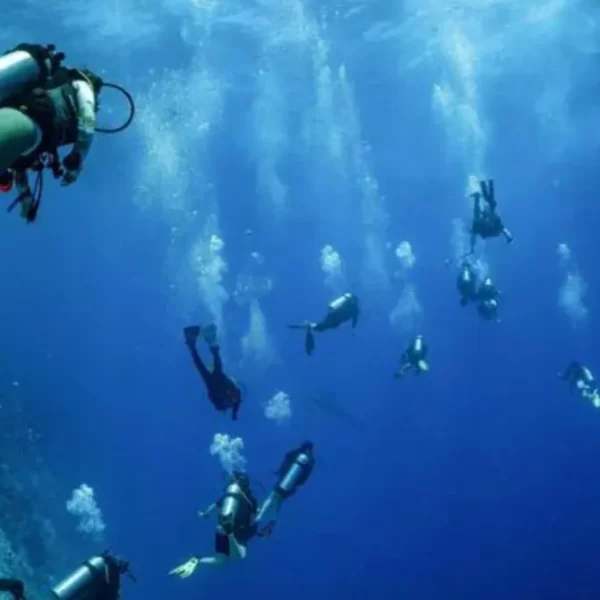 Maldive, morto un sub maldiviano durante le ricerche: sospesa licenza alla nave