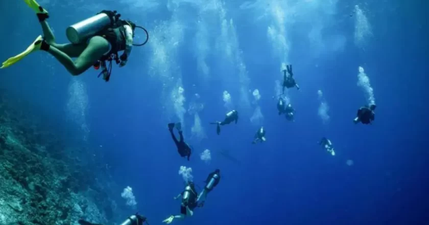 Maldive, morto un sub maldiviano durante le ricerche: sospesa licenza alla nave