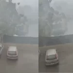 Maltempo improvviso a Taranto, bomba d’acqua sulla città: strade allagate, alberi caduti e traffico paralizzato – VIDEO
