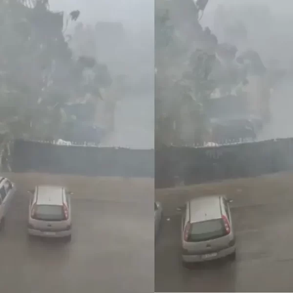 Maltempo improvviso a Taranto, bomba d’acqua sulla città: strade allagate, alberi caduti e traffico paralizzato – VIDEO