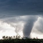 Tromba d’aria in Italia, volano alberi e rami. Bilancio terribile