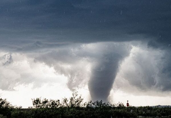 Tromba d’aria in Italia, volano alberi e rami. Bilancio terribile