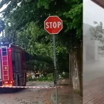 Maltempo tra Veneto e Friuli: alberi caduti, blackout e raffiche di vento. Disagi da Treviso all’Isontino
