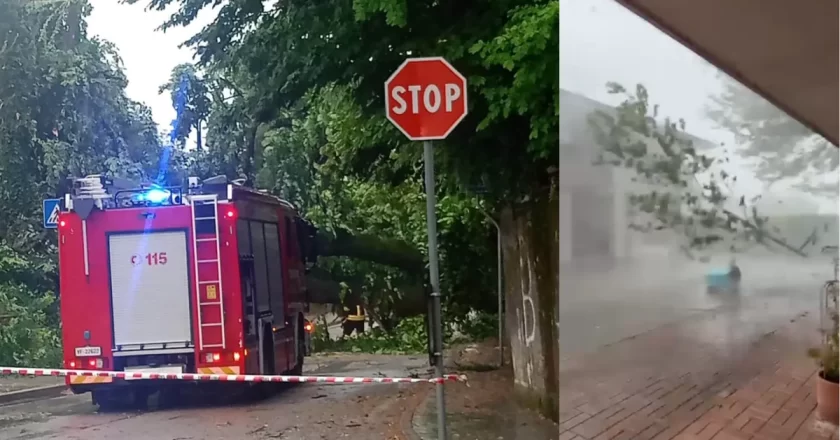 Maltempo tra Veneto e Friuli: alberi caduti, blackout e raffiche di vento. Disagi da Treviso all’Isontino