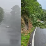 Maltempo in Piemonte, nubifragi e downburst: temperature crollate di 15 gradi in un’ora, alberi abbattuti e danni