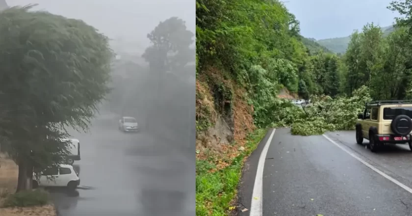 Maltempo in Piemonte, nubifragi e downburst: temperature crollate di 15 gradi in un’ora, alberi abbattuti e danni