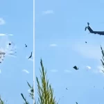 Grecia, scontro in volo tra due elicotteri antincendio: salvo un equipaggio, ricerche in corso per il secondo – VIDEO