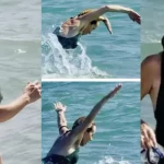 Giorgia Meloni al mare sul litorale romano: il tuffo prima dell’autunno caldo del governo