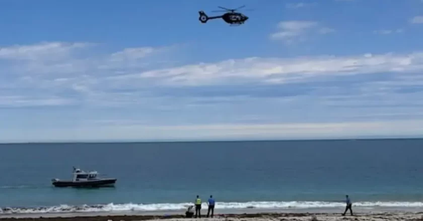 Bagnante ucciso da uno squalo davanti a tutti: caccia all’animale a Sorrento Beach